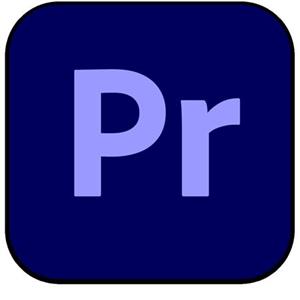 Premiere Pro for TEAMS MP ML GOV Subscription 1 User L-1 1-9